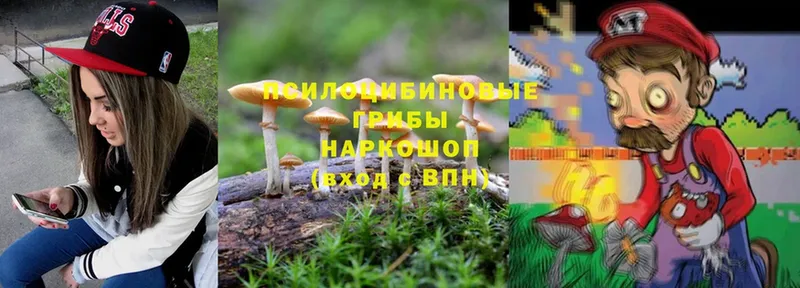 Псилоцибиновые грибы Magic Shrooms  блэк спрут рабочий сайт  Нижнеудинск 